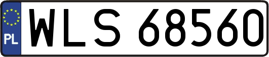 WLS68560