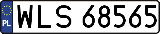 WLS68565