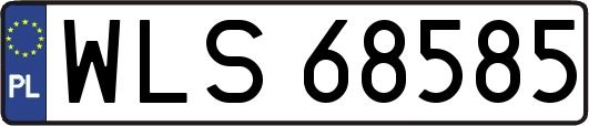 WLS68585