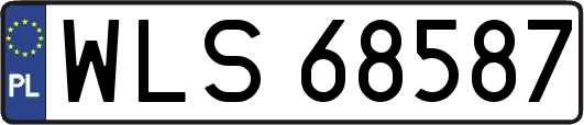 WLS68587