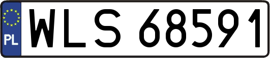 WLS68591