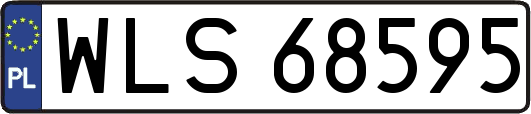 WLS68595