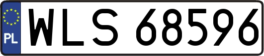 WLS68596