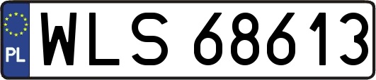 WLS68613