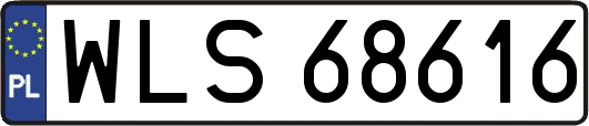 WLS68616