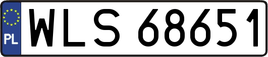WLS68651