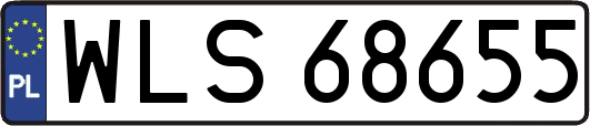 WLS68655