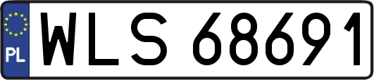 WLS68691