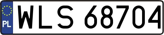 WLS68704