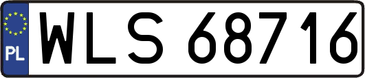 WLS68716
