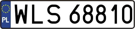 WLS68810