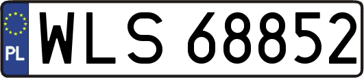 WLS68852