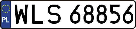 WLS68856