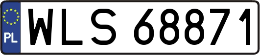 WLS68871