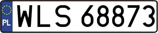 WLS68873