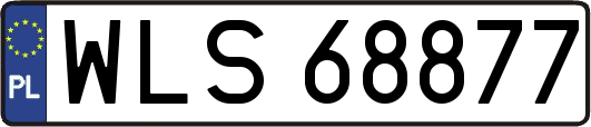 WLS68877