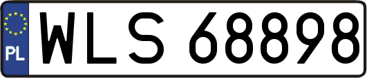 WLS68898