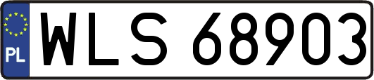 WLS68903