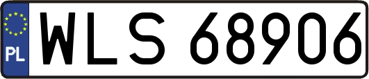 WLS68906
