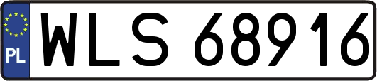 WLS68916