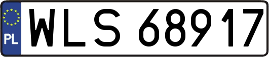 WLS68917