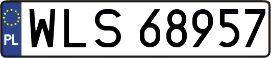 WLS68957