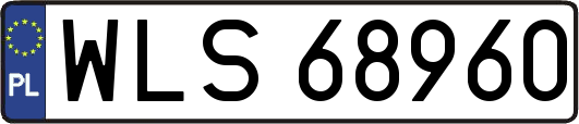 WLS68960