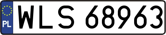 WLS68963