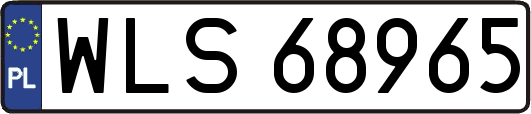 WLS68965