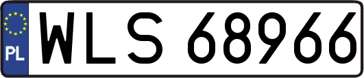 WLS68966