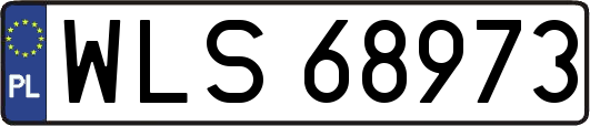 WLS68973