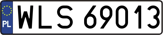 WLS69013