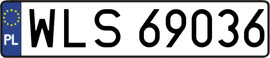 WLS69036