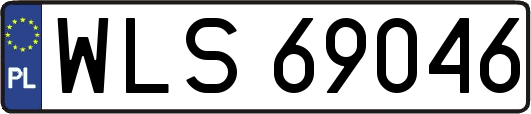 WLS69046