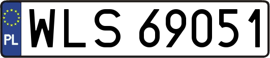 WLS69051