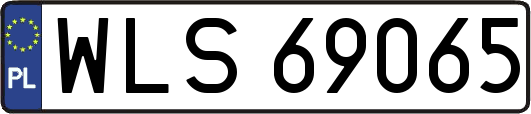 WLS69065