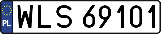 WLS69101