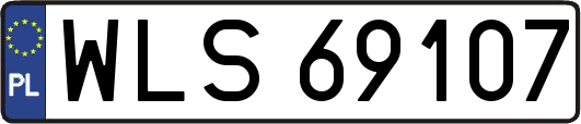 WLS69107