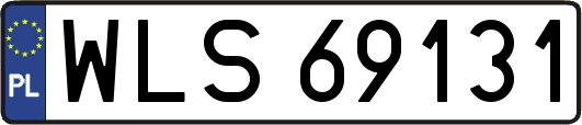WLS69131