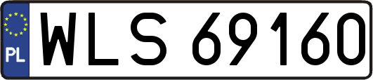 WLS69160