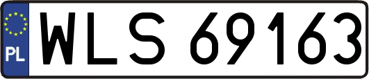 WLS69163