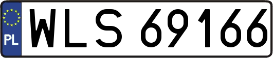 WLS69166