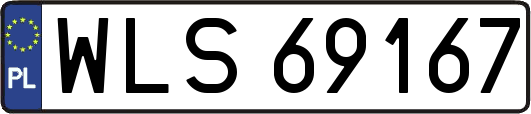 WLS69167