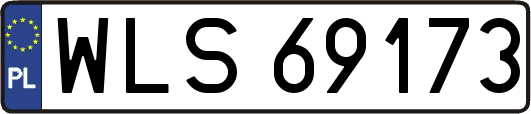 WLS69173