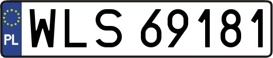 WLS69181