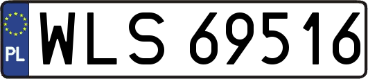 WLS69516