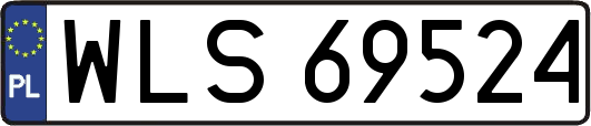 WLS69524