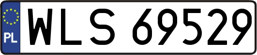 WLS69529