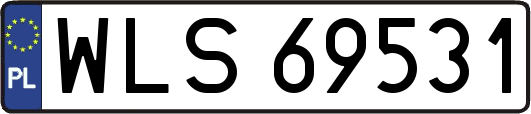 WLS69531