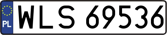 WLS69536